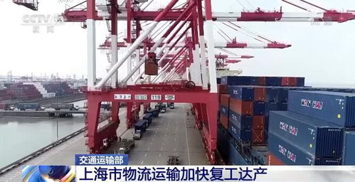 上海市物流運(yùn)輸加快復(fù)工達(dá)產(chǎn) 保通保暢工作取得重要階段性成效